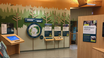 Boreal Centre for Bird Conservation